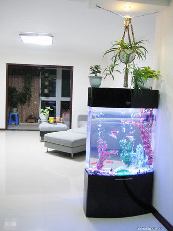 鱼缸摆放的最佳位置