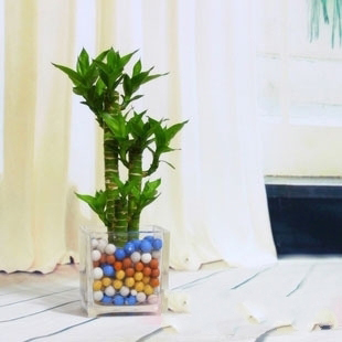 风水吉祥物的主要作用？